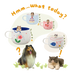 Illustration d’un chien et d’un chat comparant plusieurs tasses personnalisées