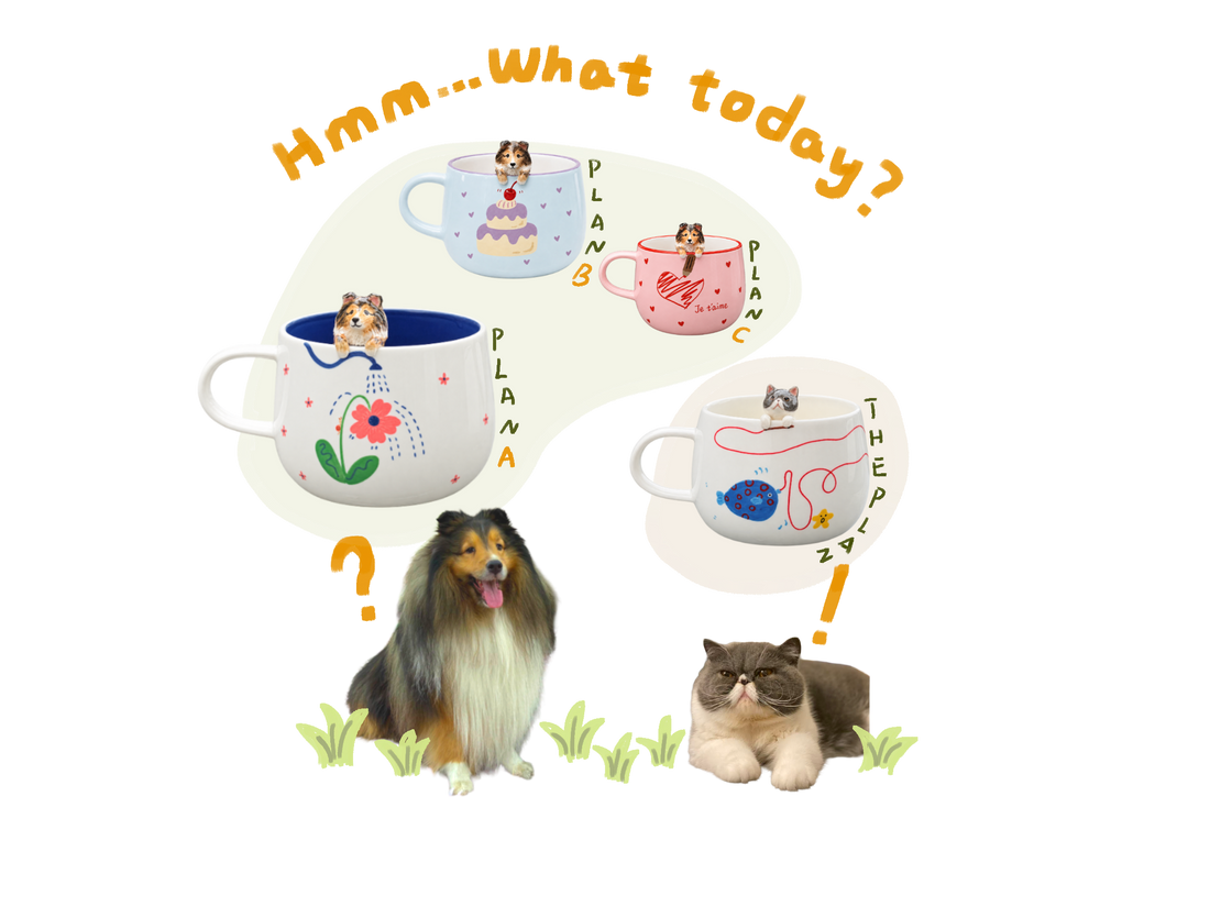 Illustration d’un chien et d’un chat comparant plusieurs tasses personnalisées