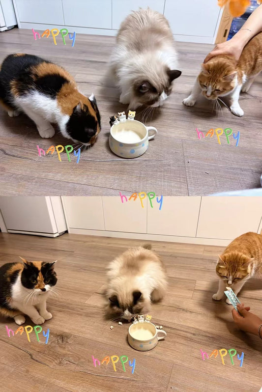Photo client de plusieurs animaux découvrant une tasse personnalisée avec figurine – Maison Scott